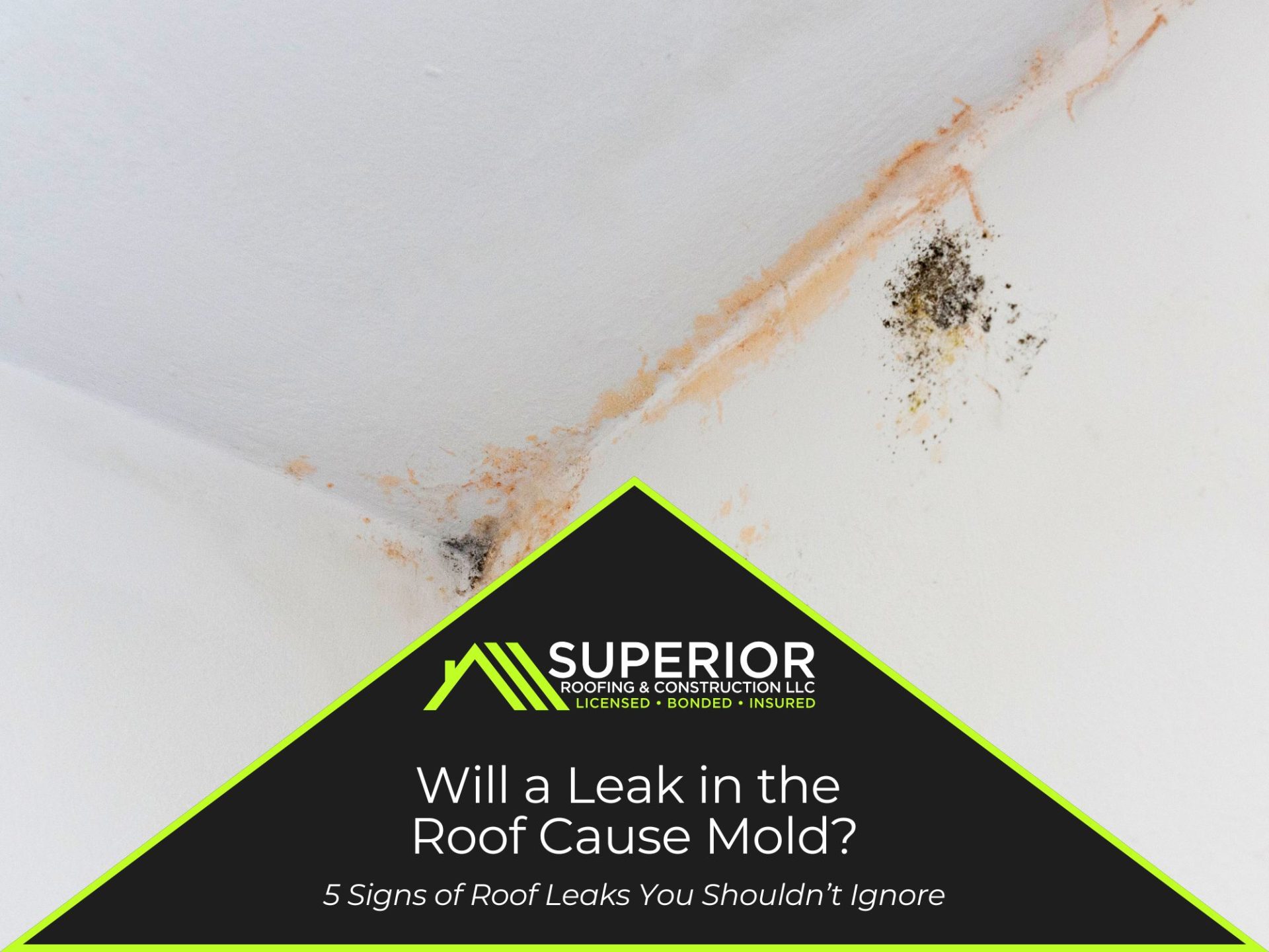 Will a Leak in the Roof Cause Mold?