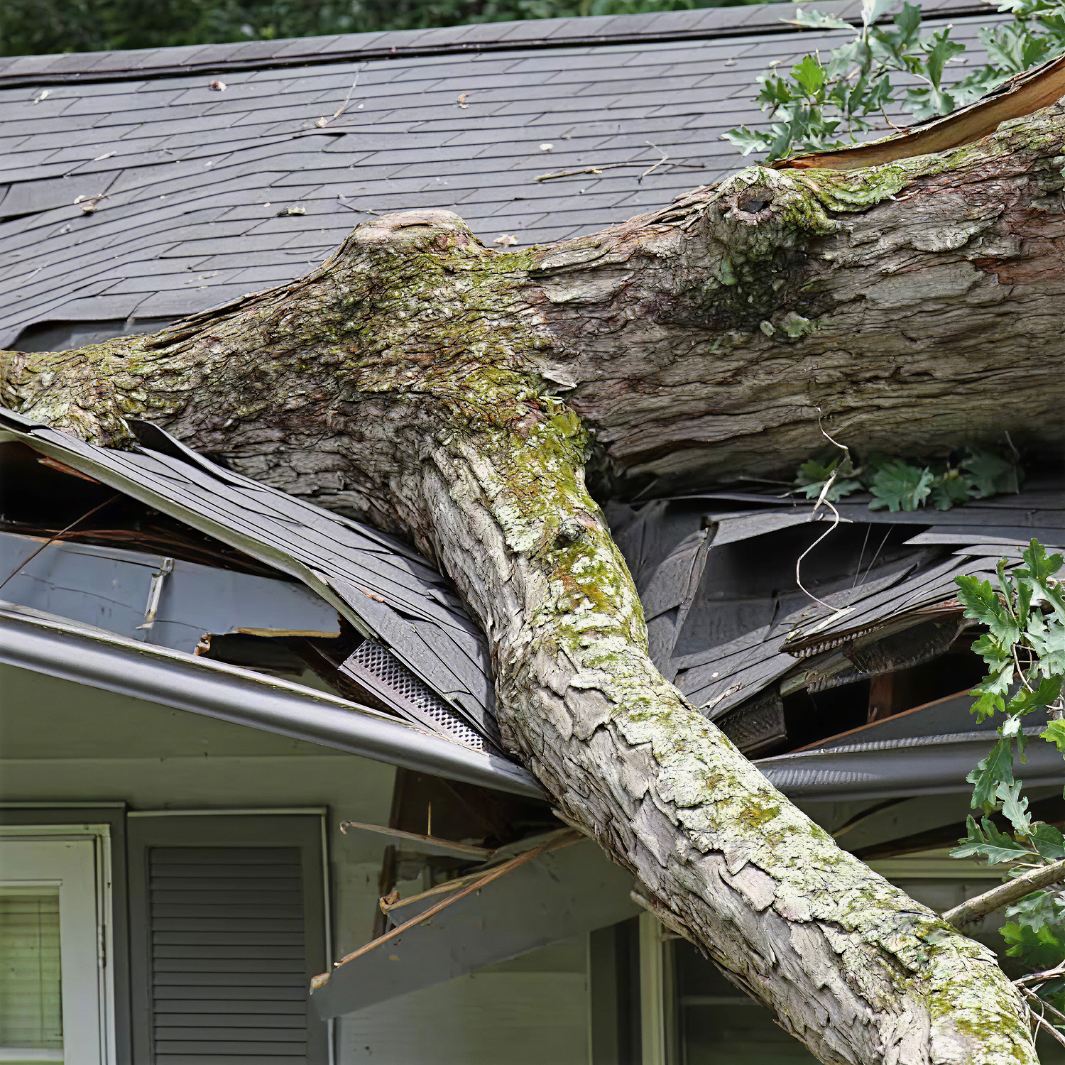 Types of Roof Damage